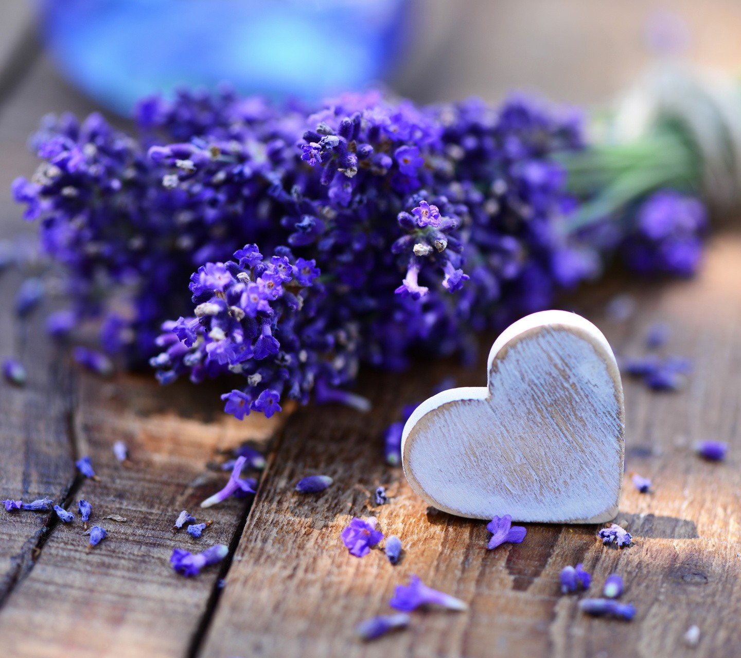 heart, Flowers, Lavender Wallpaper