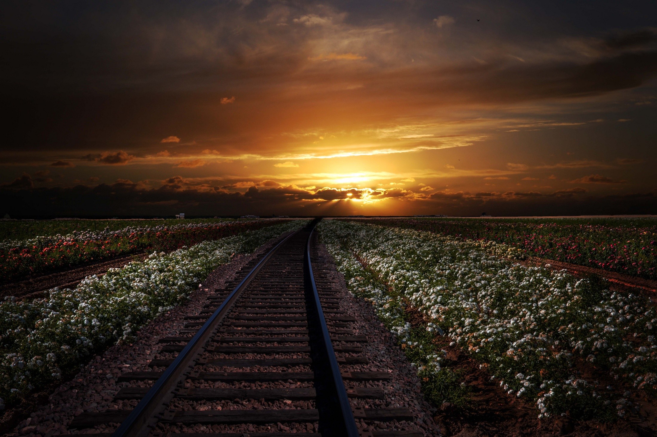 sunset, Railway, Clouds, Field Wallpaper
