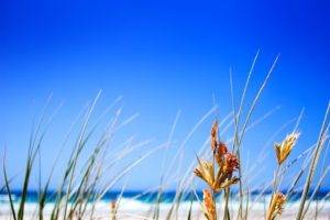 beach, Grass, Sea, Blue