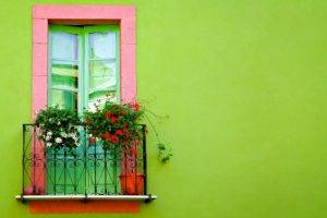 flowers, Colorful, Window