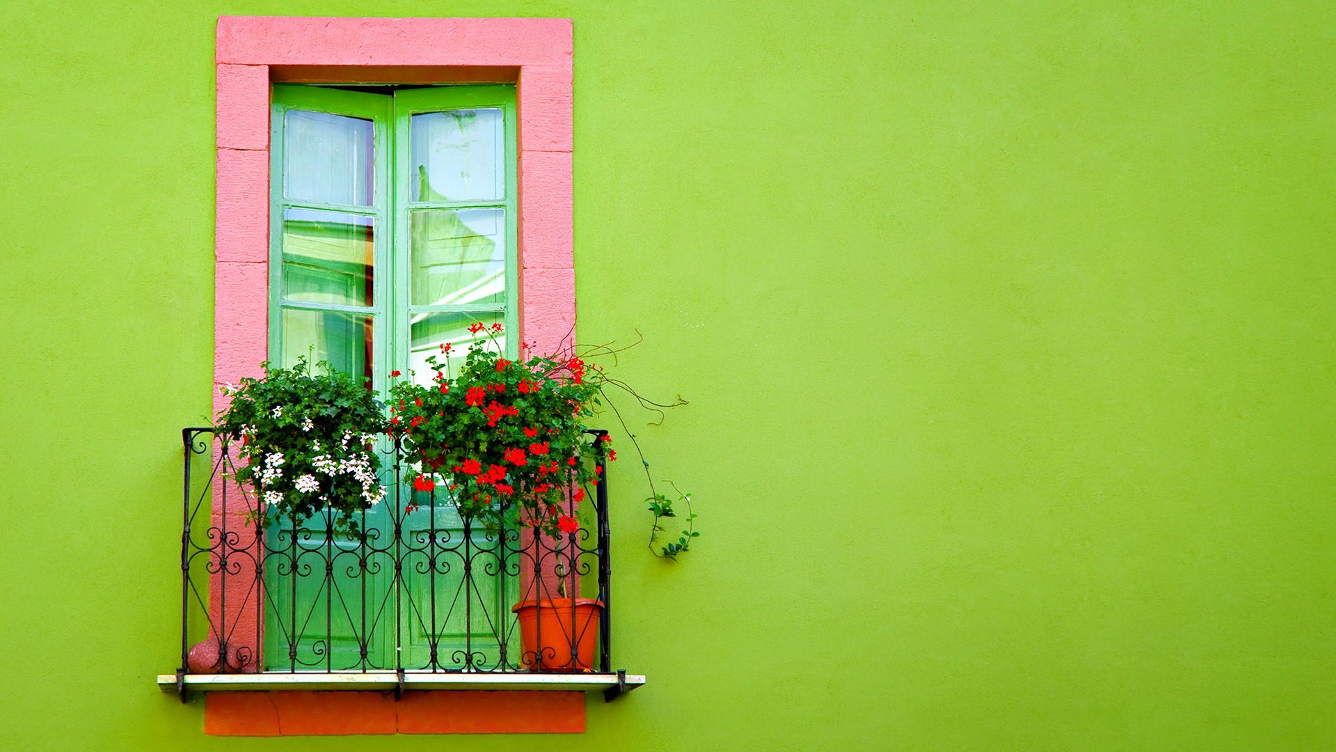 flowers, Colorful, Window Wallpaper