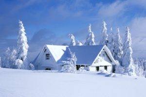 cabin, Hut, Winter, Snow, Pine trees