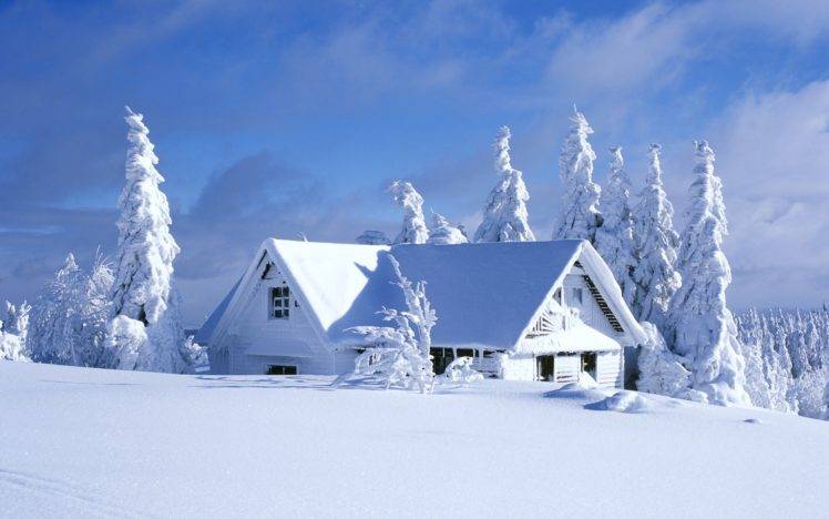 cabin, Hut, Winter, Snow, Pine trees HD Wallpaper Desktop Background