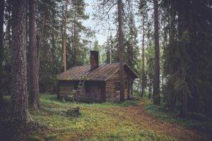 cottage, Forest, Chimneys, Pine trees, Cozy, Rooftops, Trees, Wood, House, Cabin