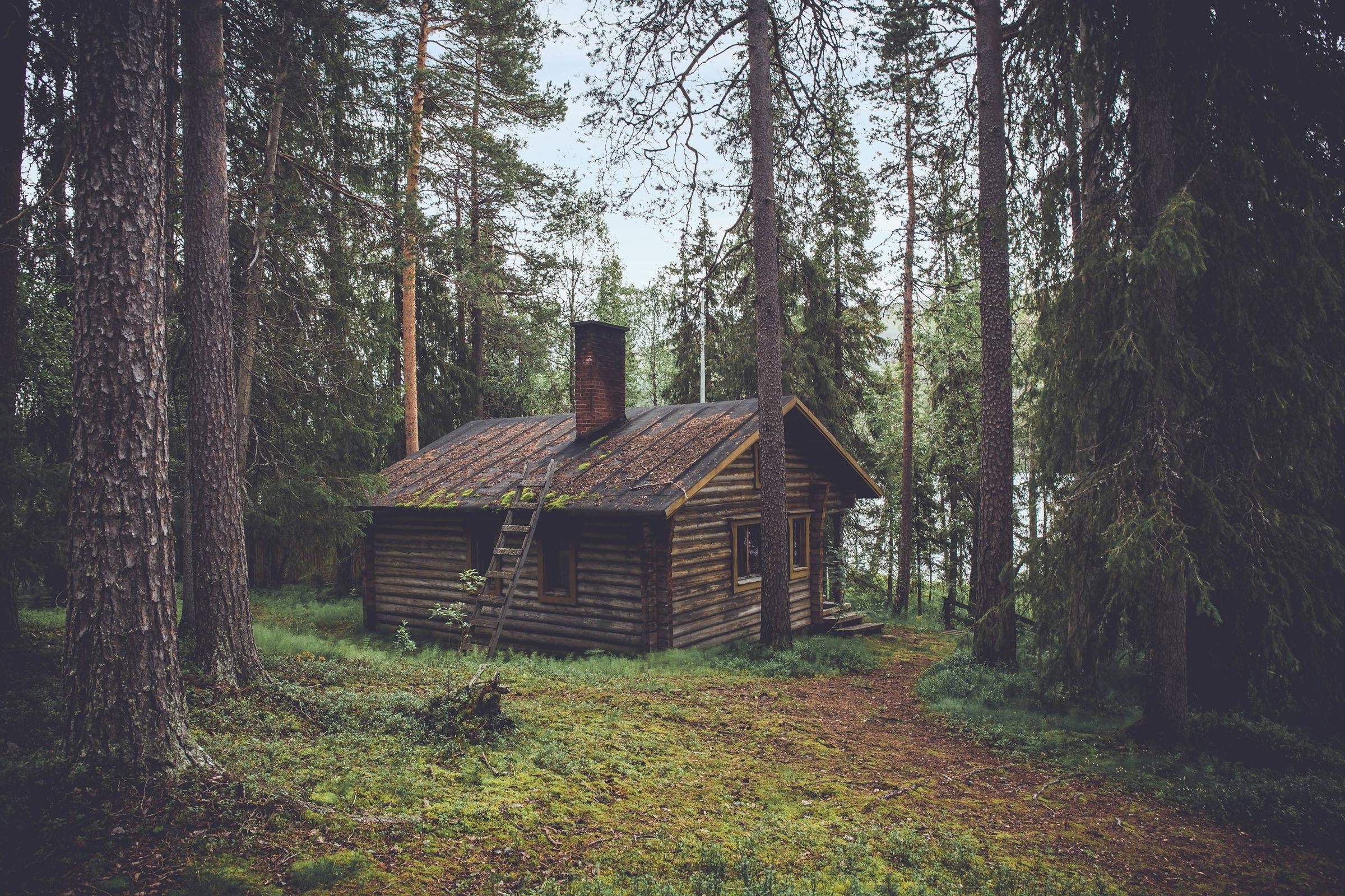 cottage, Forest, Chimneys, Pine trees, Cozy, Rooftops, Trees, Wood, House, Cabin Wallpaper