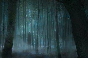 forest, Horror
