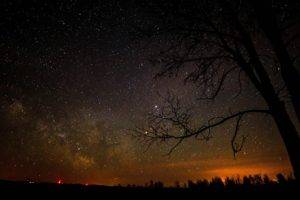 stars, Silhouette, Trees, Night sky