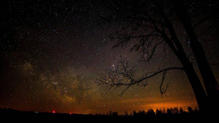 stars, Silhouette, Trees, Night sky HD Wallpaper Desktop Background