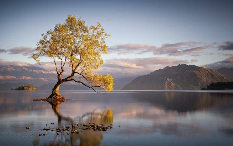 trees, Water, Reflection, Sky, Mountain HD Wallpaper Desktop Background