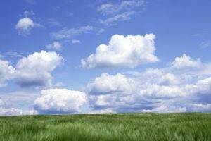 multiple display, Sky, Clouds, Grass