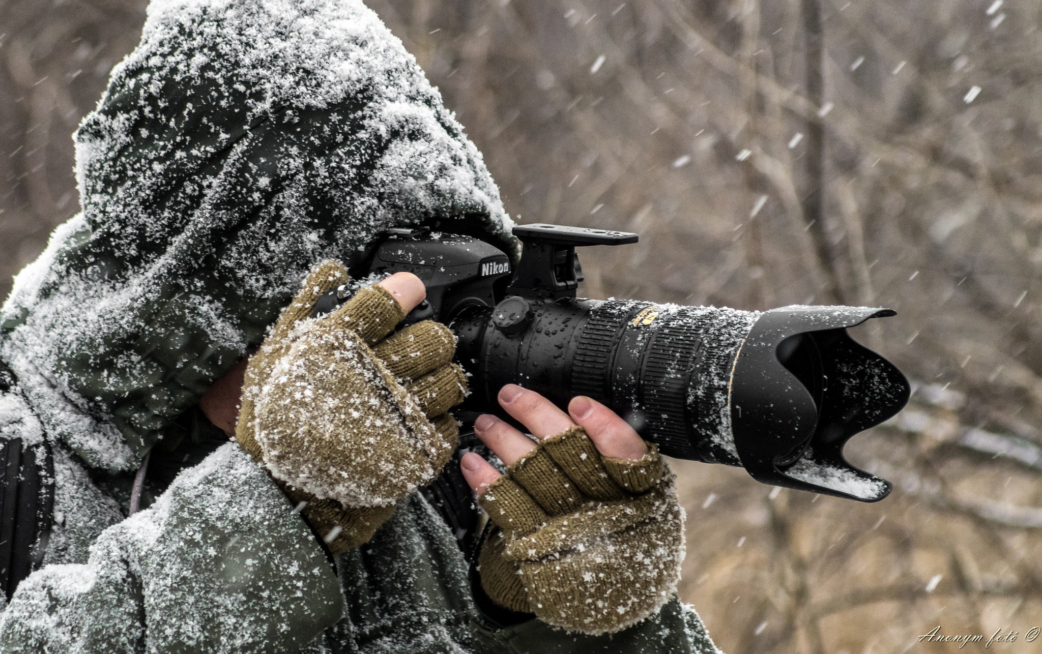 photography, Winter, Snow, Photographers Wallpaper