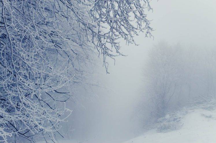 snow, Winter HD Wallpaper Desktop Background