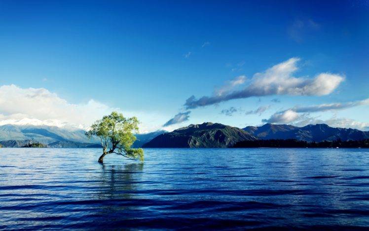 water, Trees, Nature HD Wallpaper Desktop Background