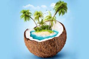 coconuts, Island, CG render, Blue background, Palm trees