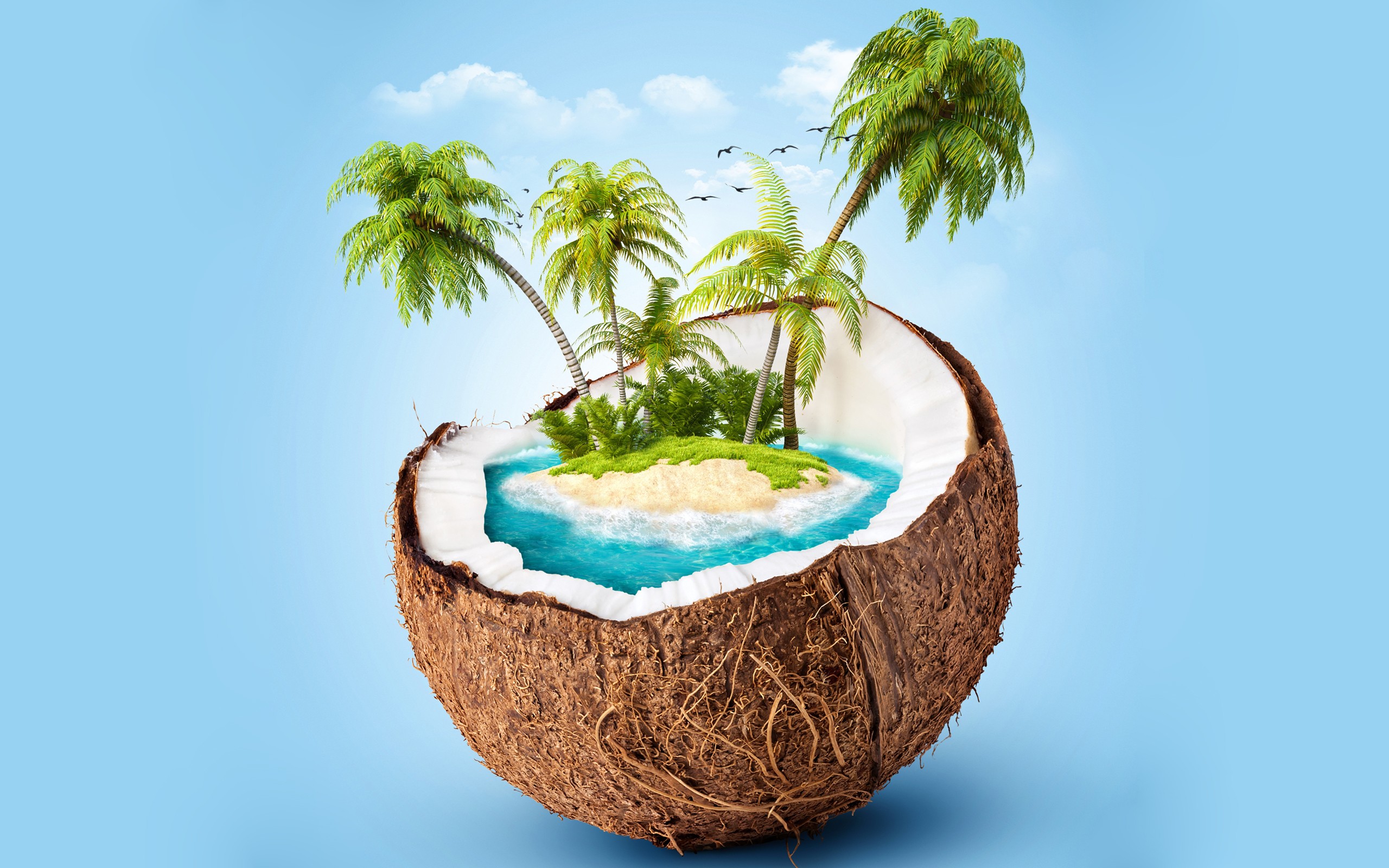 coconuts, Island, CG render, Blue background, Palm trees Wallpaper