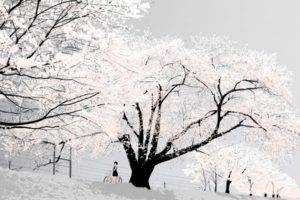 winter, Bicycle, Trees, Snow
