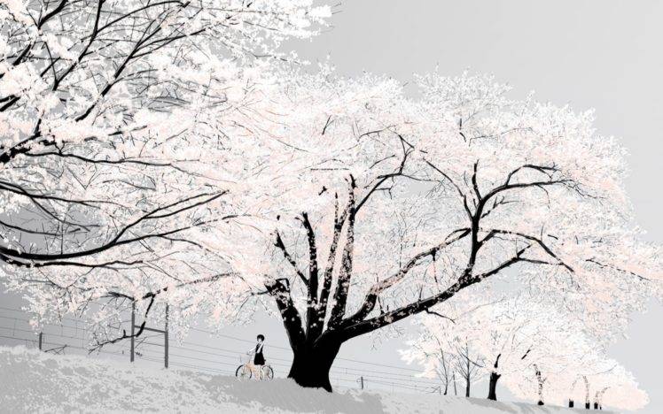 winter, Bicycle, Trees, Snow HD Wallpaper Desktop Background