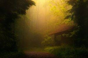 mist, House, Forest, Road, Trees, Nature