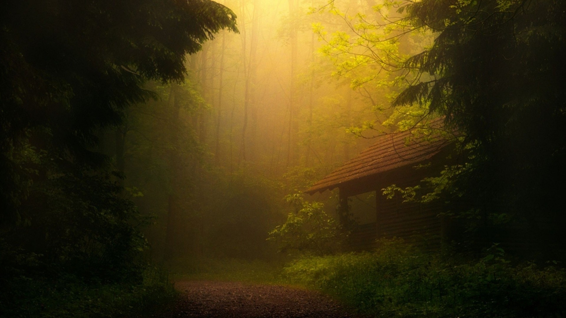 mist, House, Forest, Road, Trees, Nature Wallpaper