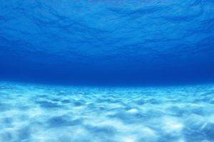 photography, Blue, Sea, Water, Underwater, Nature