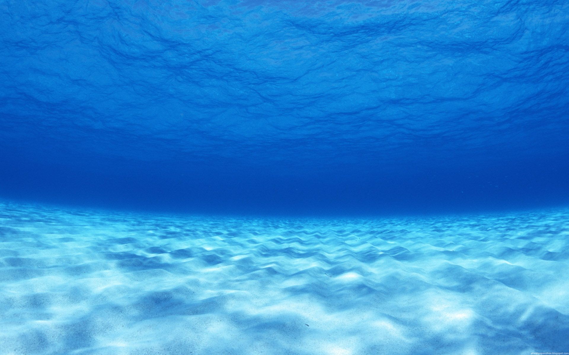 photography, Blue, Sea, Water, Underwater, Nature Wallpaper