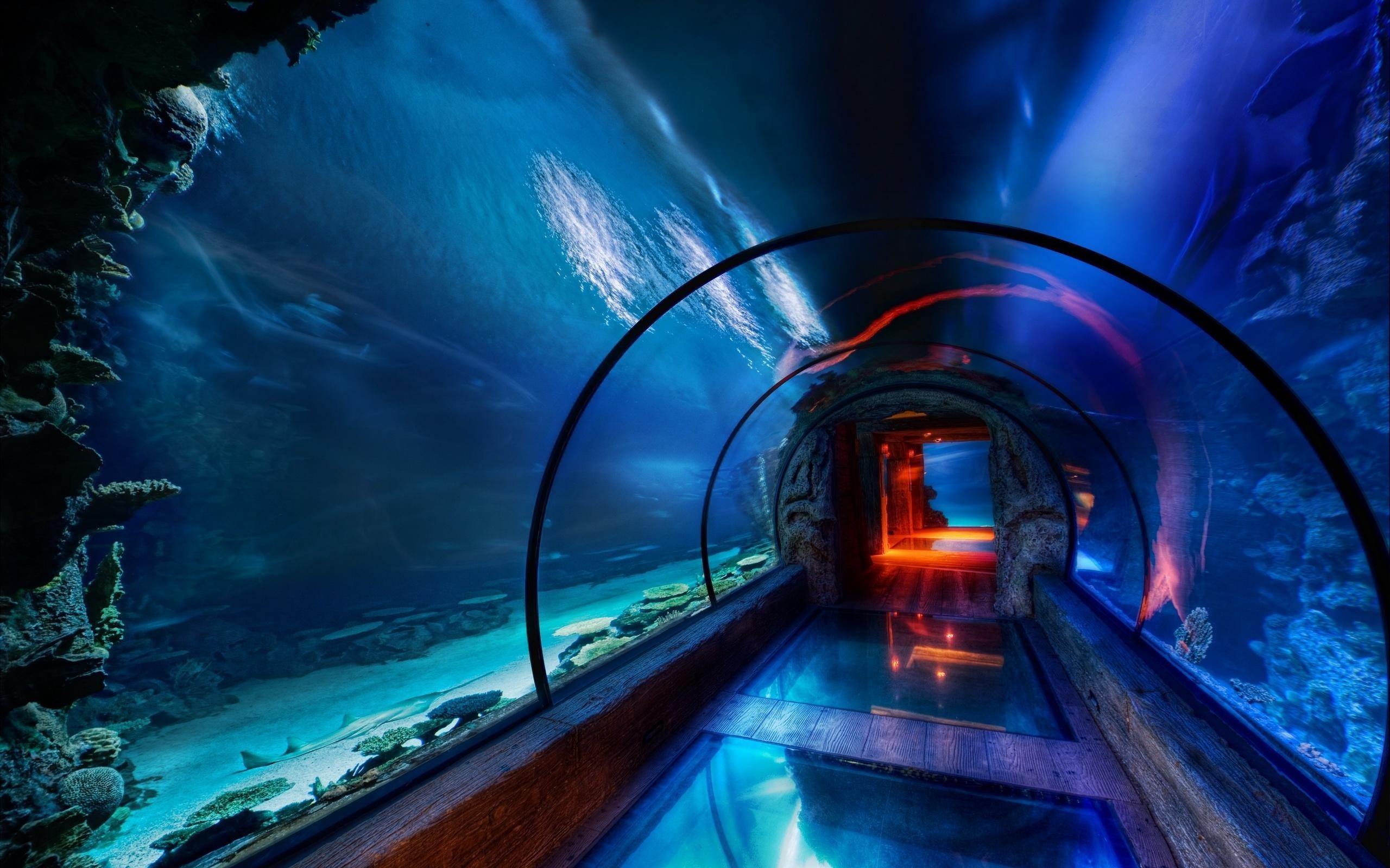 aquarium, Tunnel, Underwater, Sea, HDR Wallpaper
