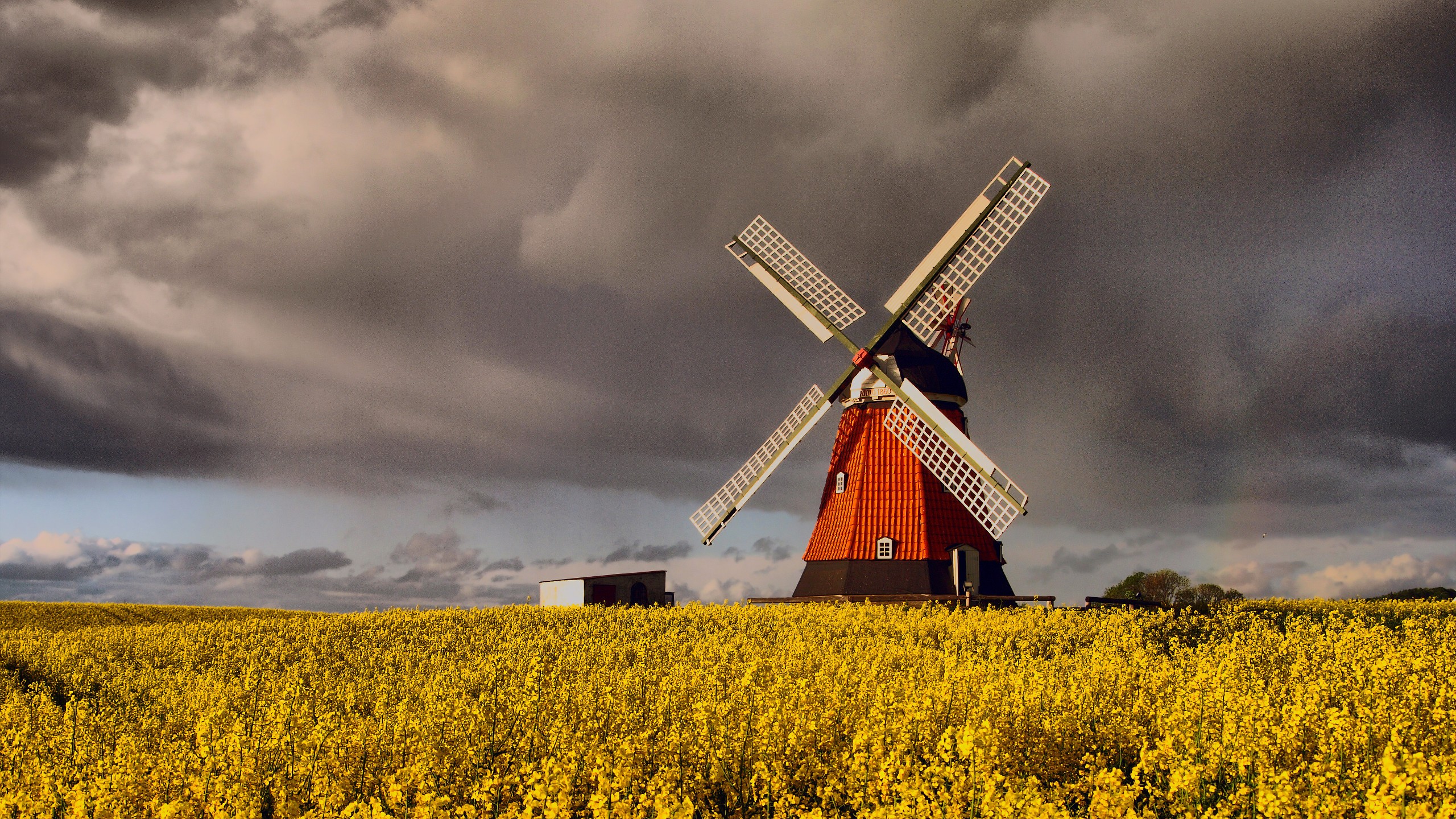 Denmark, Windmills, Clouds, Grain Wallpaper
