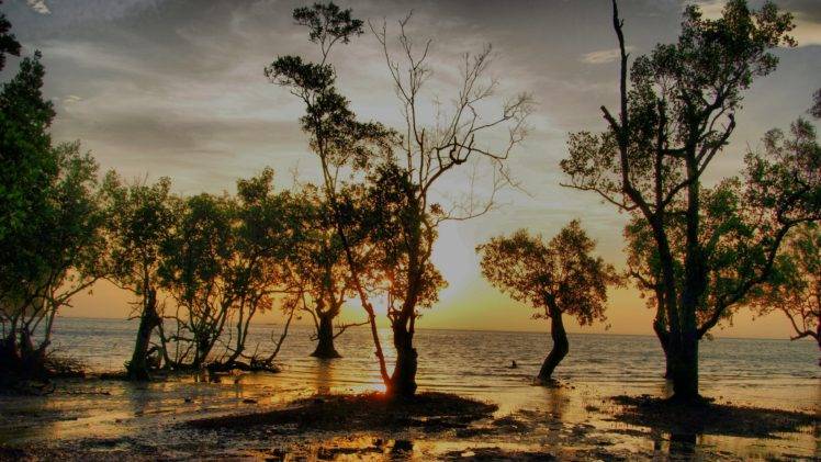 trees, Thailand, Sunset, Beach HD Wallpaper Desktop Background
