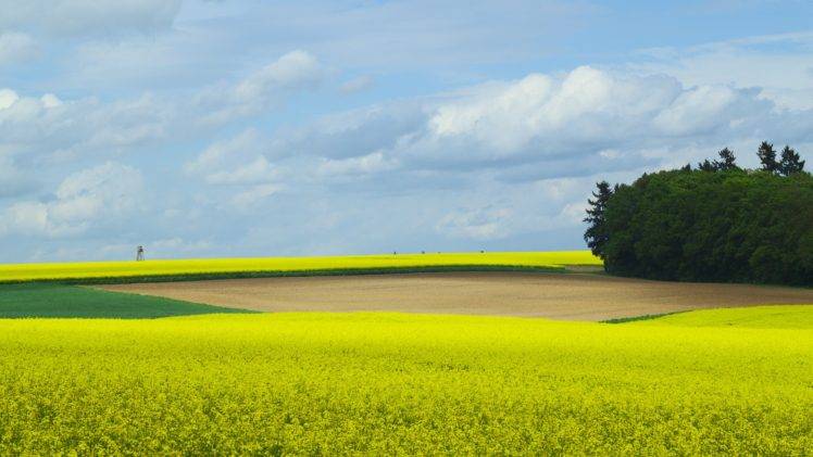 trees, Field, Germany, Spring, Clouds HD Wallpaper Desktop Background