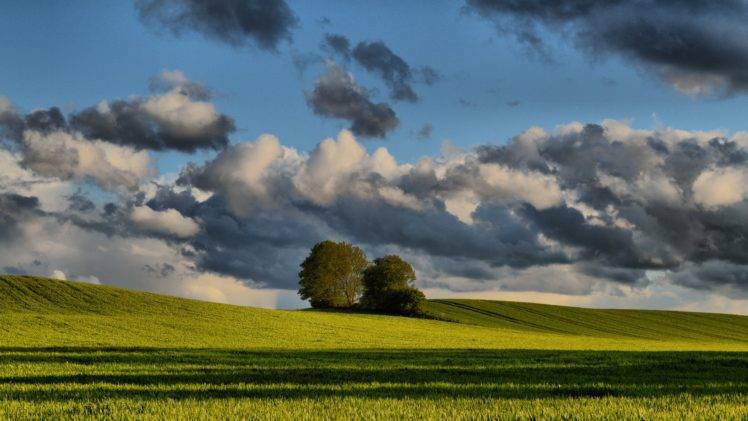 trees, Denmark, Summer, Jutland, Denmark, Clouds, Field HD Wallpaper Desktop Background