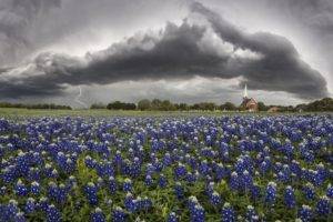 500px, Lightning, Flowers, Texas, Church