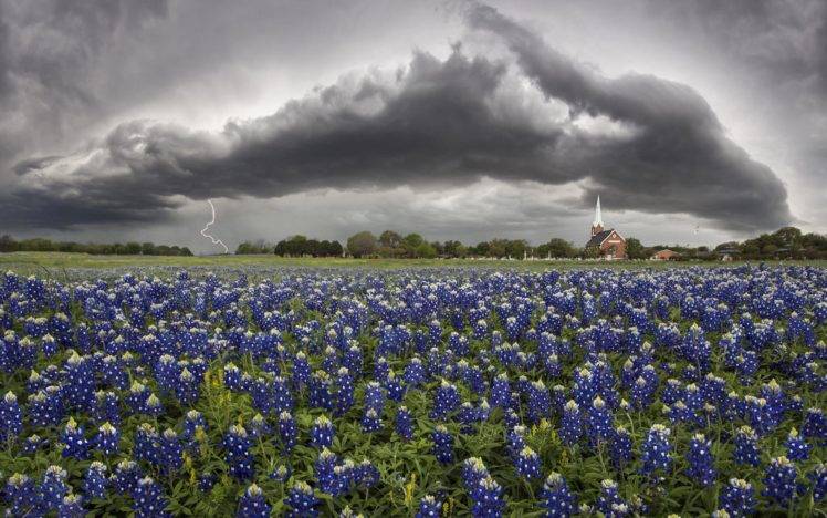 500px, Lightning, Flowers, Texas, Church HD Wallpaper Desktop Background