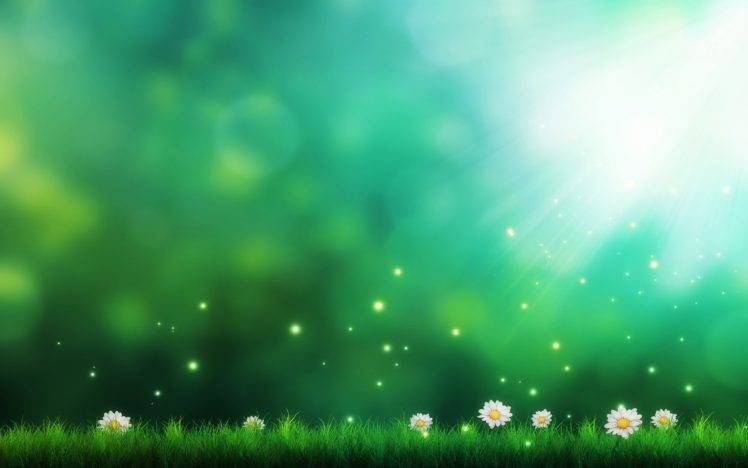 daisies, Grass, Sun rays HD Wallpaper Desktop Background