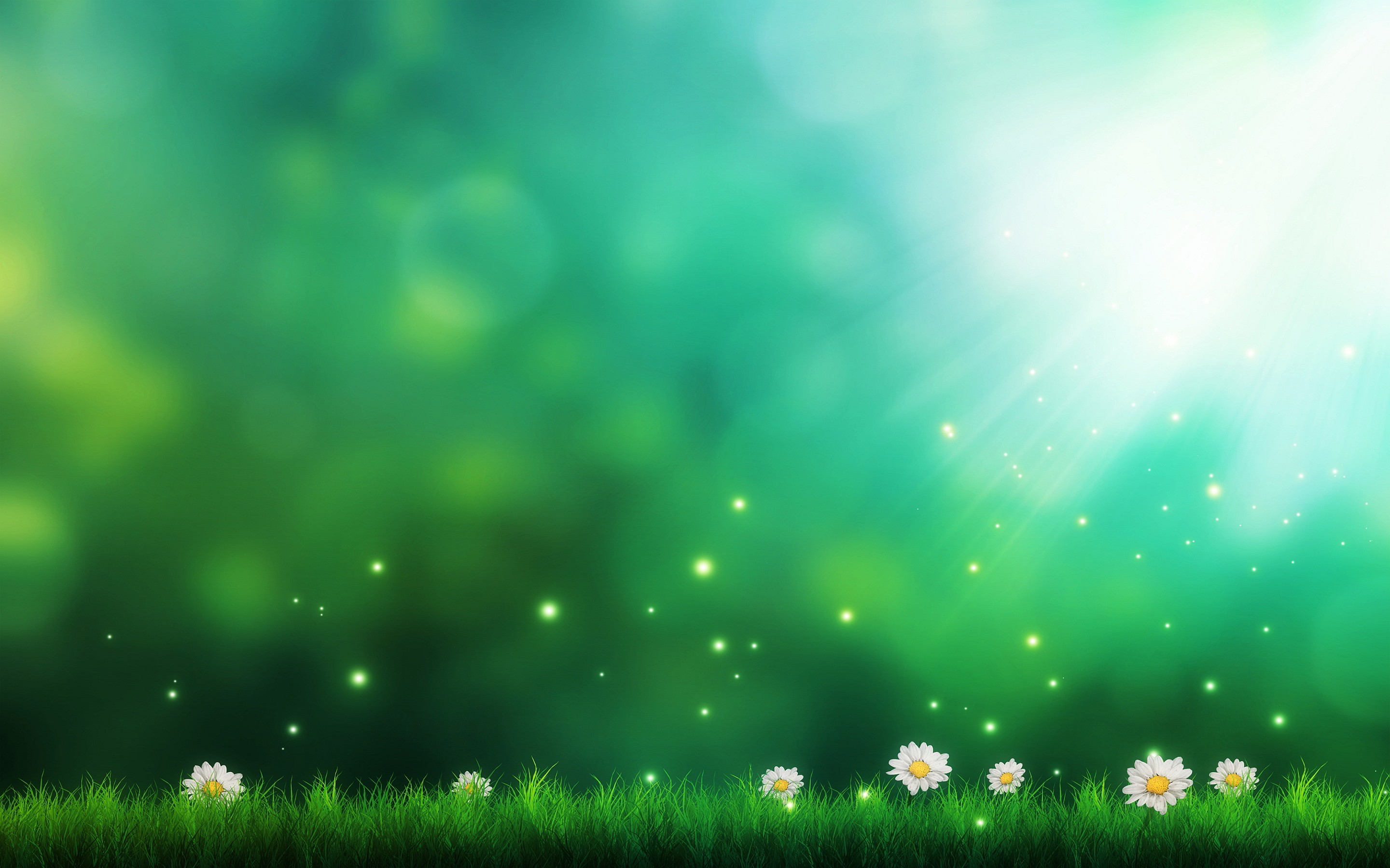daisies, Grass, Sun rays Wallpaper