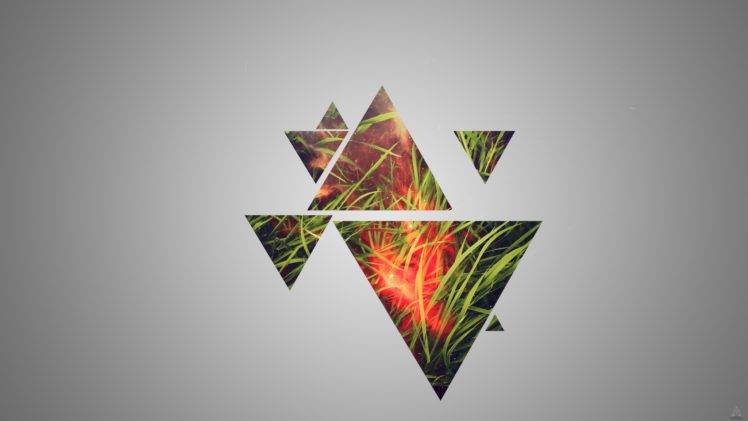 grass, Triangle HD Wallpaper Desktop Background