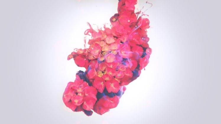 flowers, Pink, Ink HD Wallpaper Desktop Background