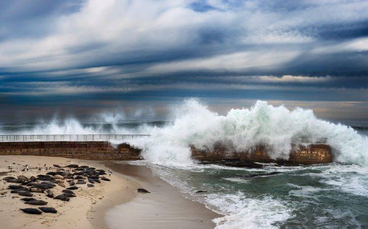sea, Waves, Coast, California HD Wallpaper Desktop Background