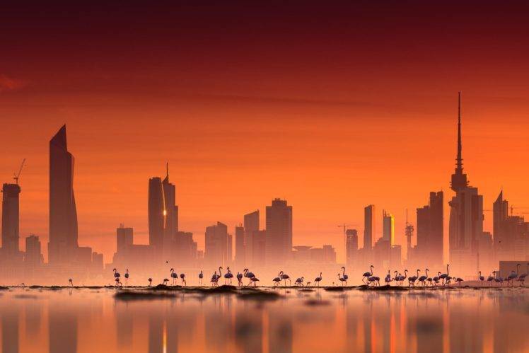 photography, Water, Sea, Architecture, Building, Urban, City, Cityscape, Flamingos, Skyscraper, Sunset HD Wallpaper Desktop Background