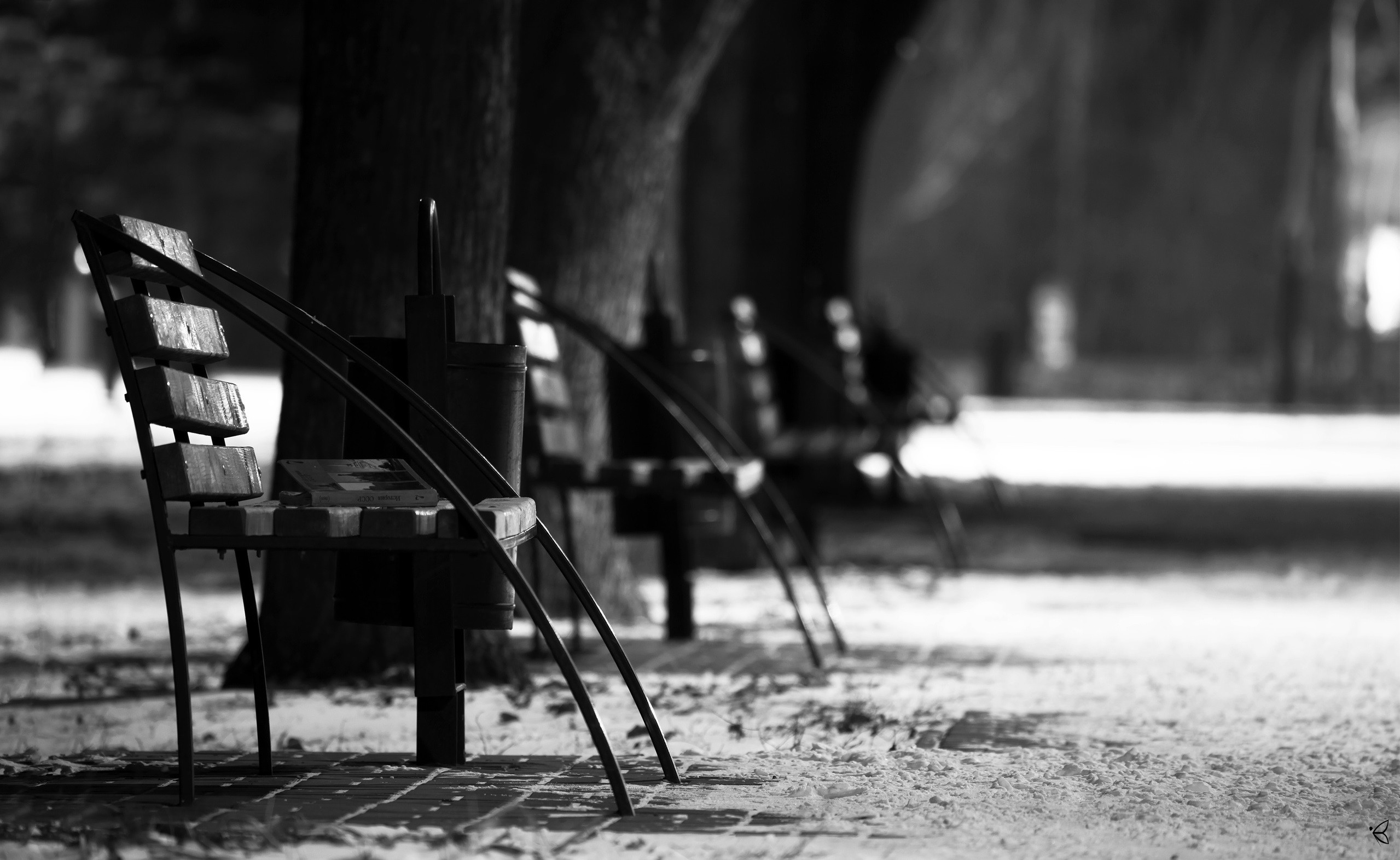 photography, Monochrome, Park, Trees, Bench, Depth of field, Winter Wallpaper