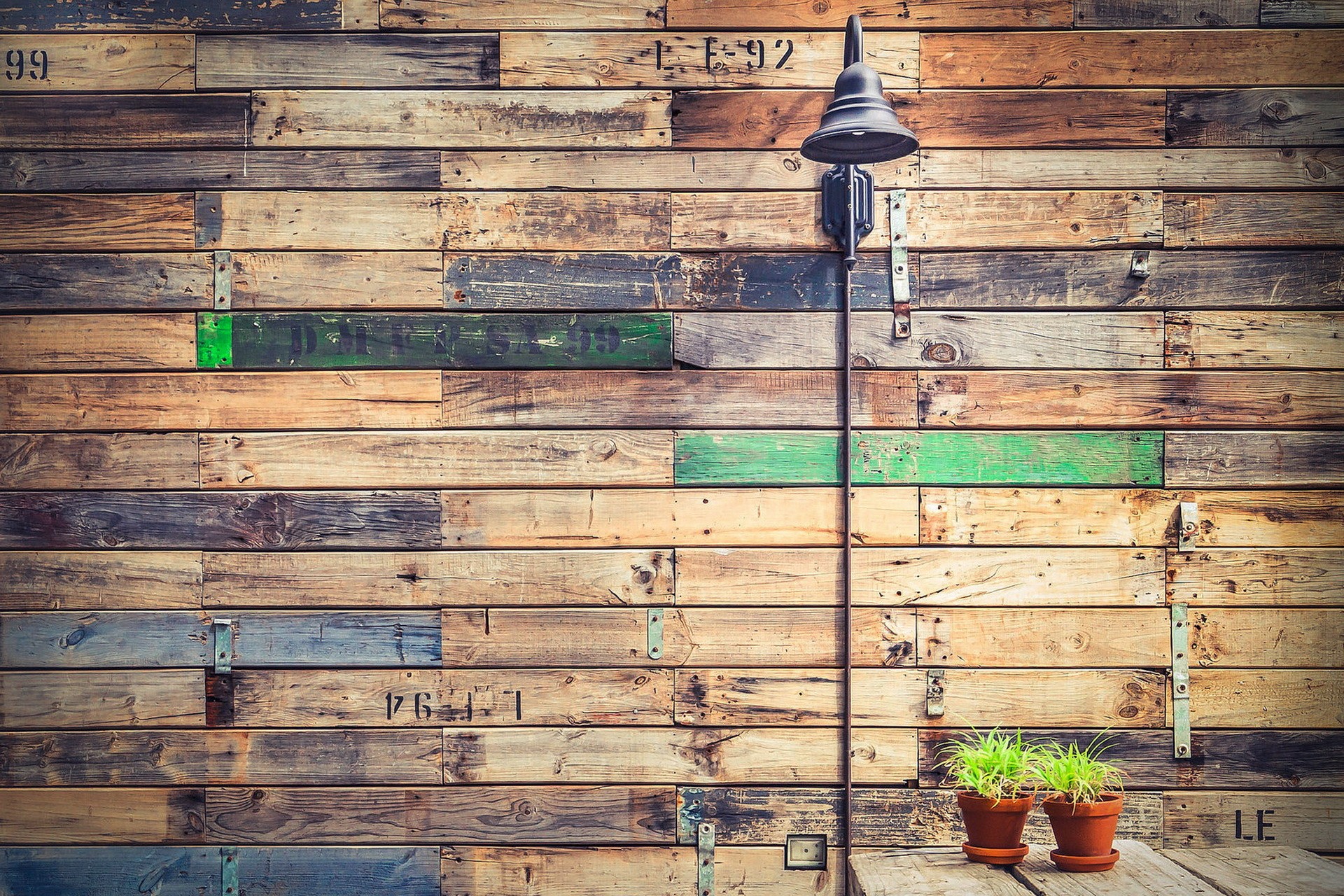 wood, Plants Wallpaper