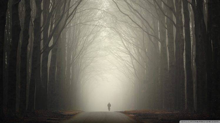 mist, Bicycle, Trees, Forest HD Wallpaper Desktop Background
