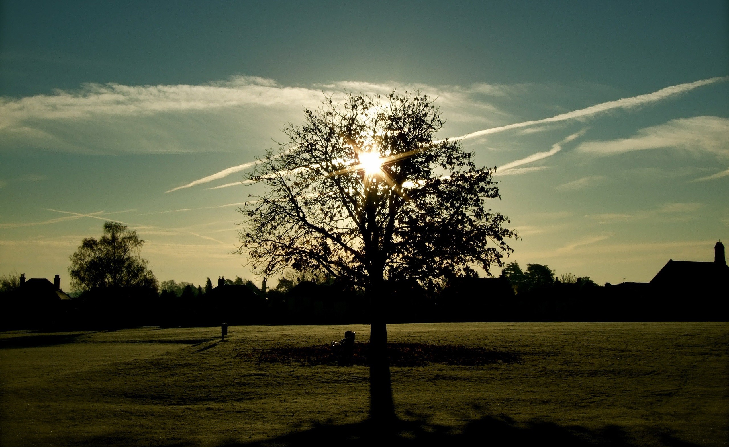 photography, Trees, Sunlight, Grass Wallpaper