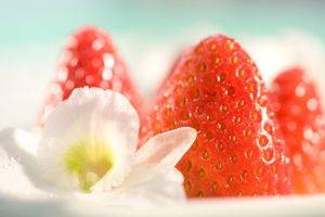 photography, Macro, Fruit, Food, Flowers, Strawberries