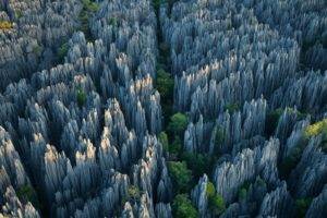 trees, Grass, Rock, National Geographic