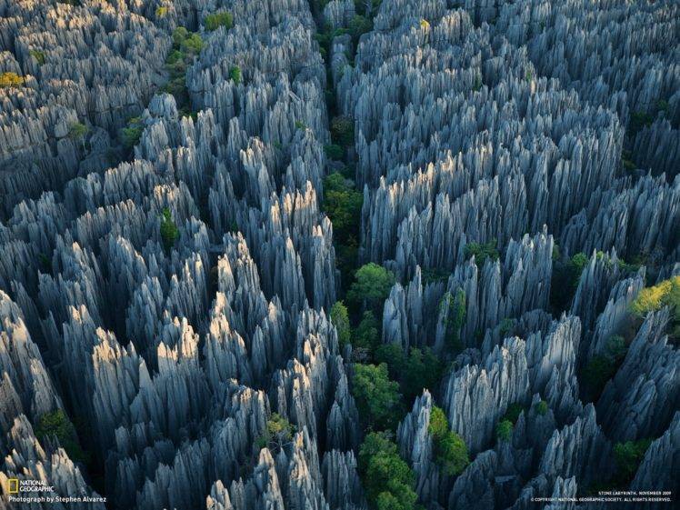 trees, Grass, Rock, National Geographic HD Wallpaper Desktop Background