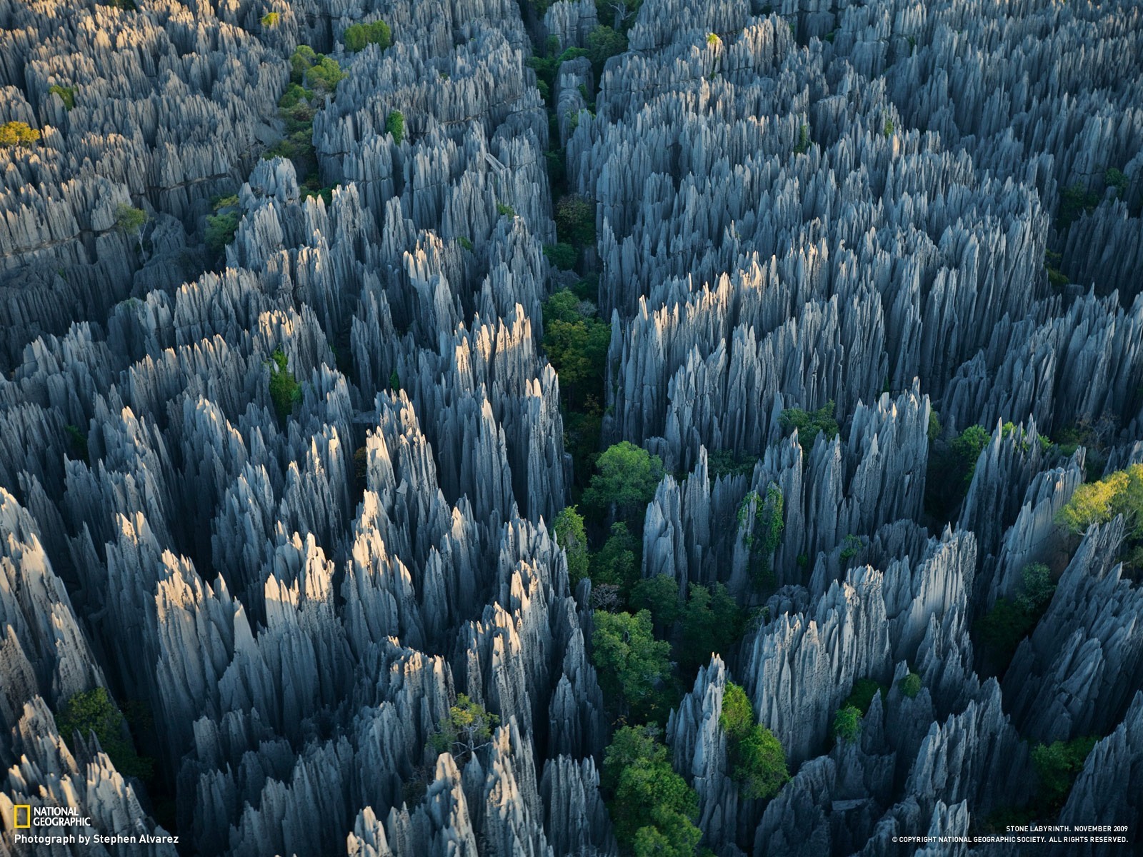 trees, Grass, Rock, National Geographic Wallpaper