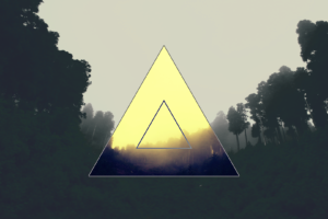 triangle, Forest, Polyscape