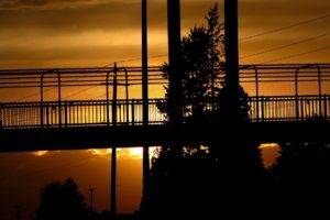 photography, Sunset, Urban, Trees, Bridge