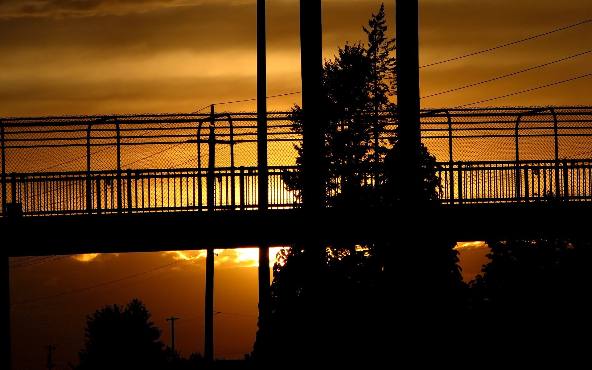 photography, Sunset, Urban, Trees, Bridge Wallpaper