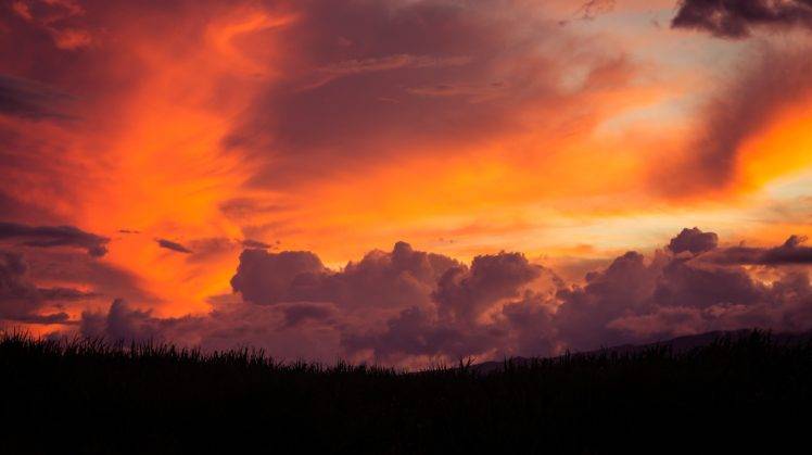 filter, Sky, Clouds, Sunset, Grass, Red, Black HD Wallpaper Desktop Background